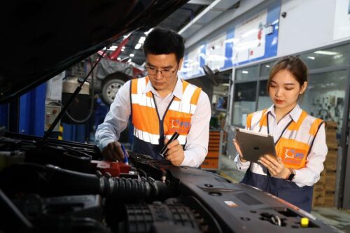 Giám định viên bảo hiểm PTI